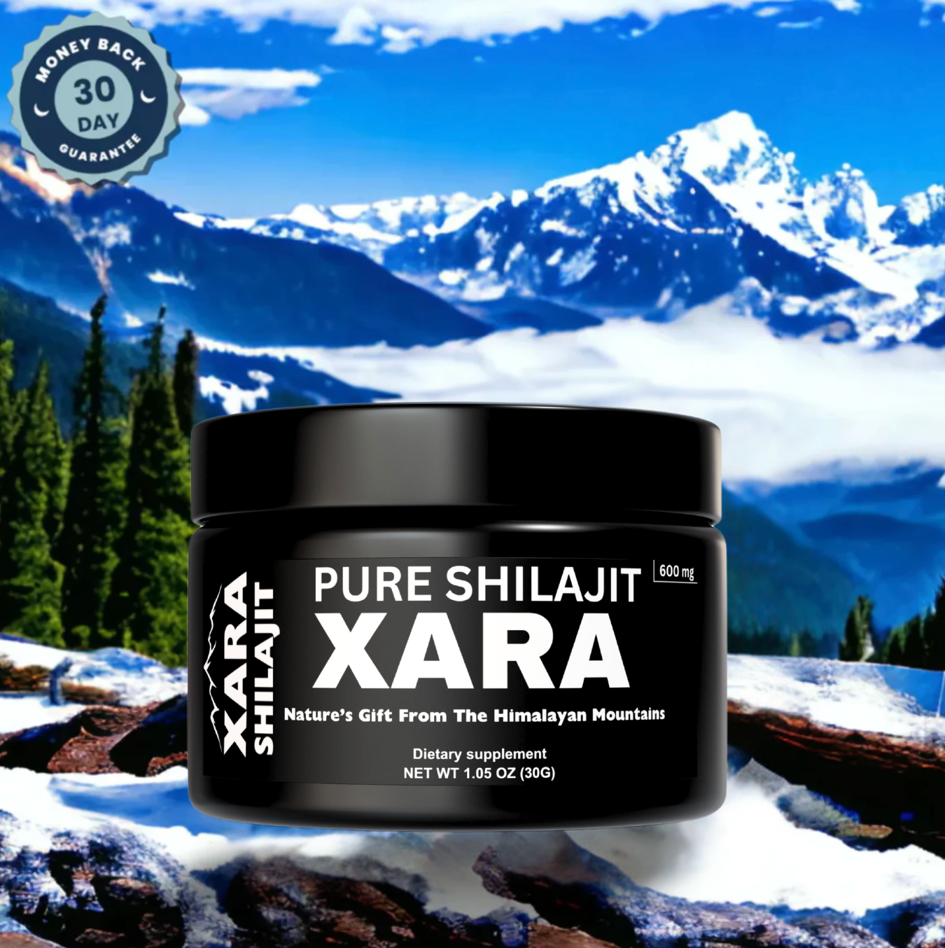 Pure Himalayan Shilajit™